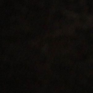 Meet your Posher, Elena